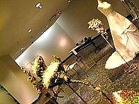 花展
