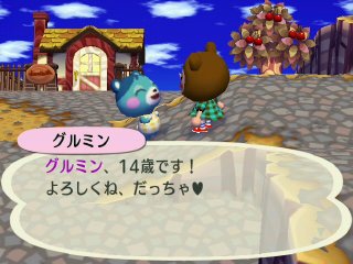 グルミン14歳