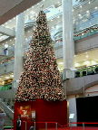 200511271310000.jpg