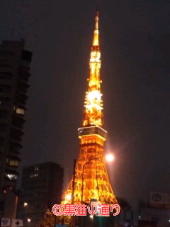 東京タワー0002.jpg