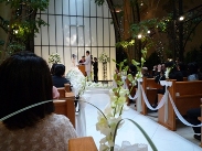 メグちゃん結婚式(1)