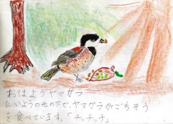 やまがら1