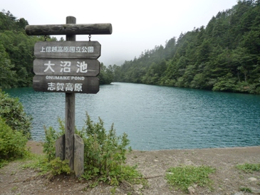 大沼池(1)