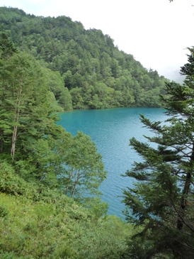 大沼池(2)