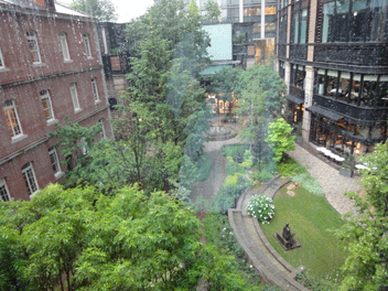 pic2010618b.gif