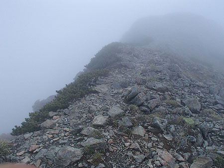 p492.jpg