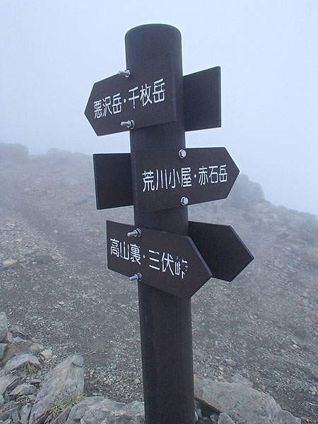 p493.jpg