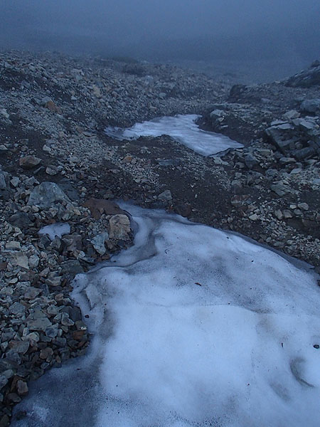 p494.jpg