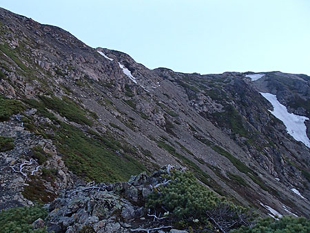 p498.jpg