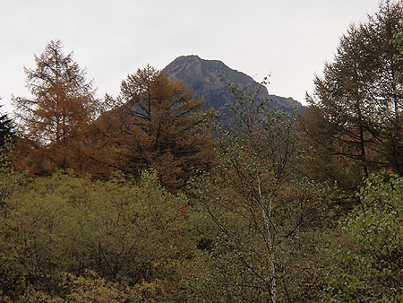 pp119.jpg