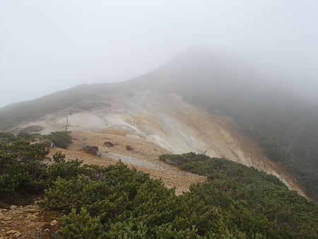 pp125.jpg