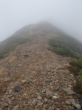 pp126.jpg