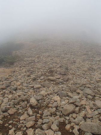 pp141.jpg