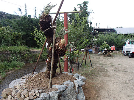 p329.jpg