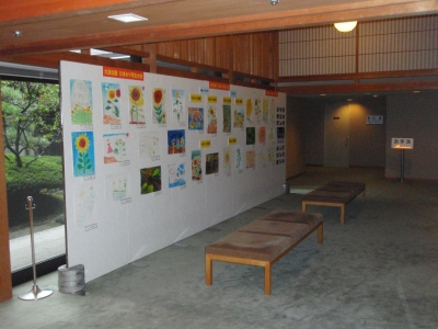 ひまわり展示1