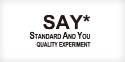 say! logo.jpg