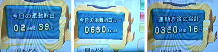 wiifit