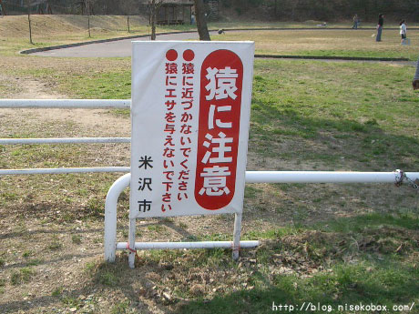 大森山森林公園2