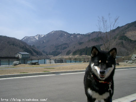 綱木川ダム1