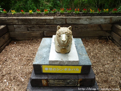 アルパカ牧場にて6