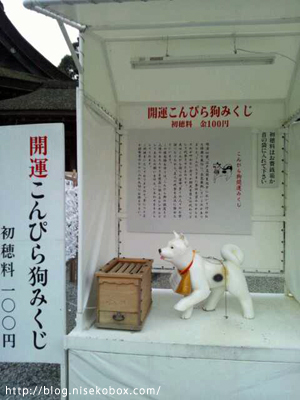 こんぴら狗おみくじ1
