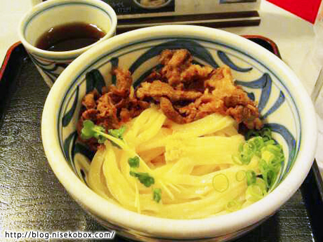 おか泉うどん