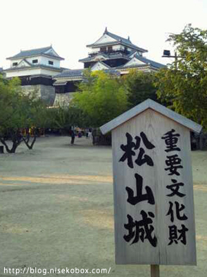 松山城・遠景