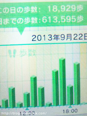 歩数