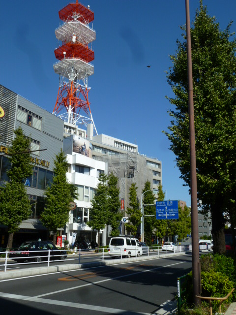 P1030102.JPG