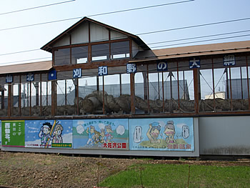 刈和野