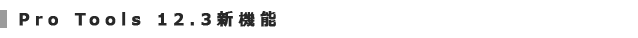 pt 12.3 1