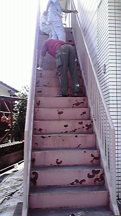 2009062509240000.jpg