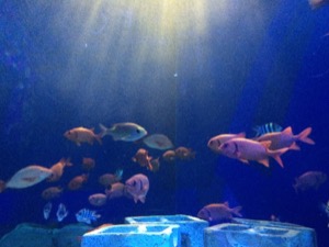 IMG_4007.JPG