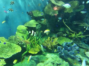 IMG_4013.JPG