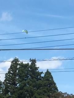 image1.jpeg