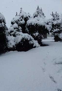 20150304 011.jpg
