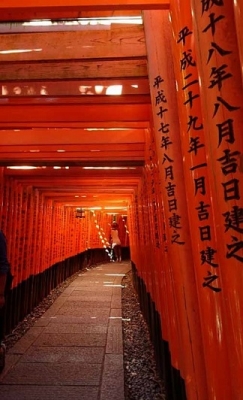 1000torii.jpg