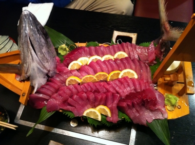 maguro