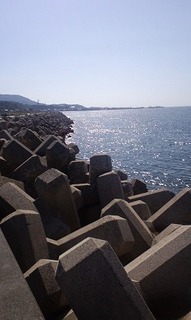 awaji8