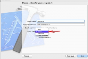 project_name