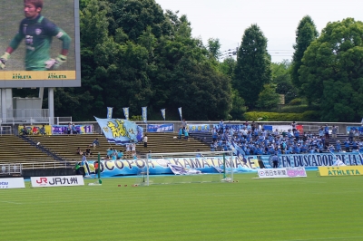 DSC07398 (2).JPG