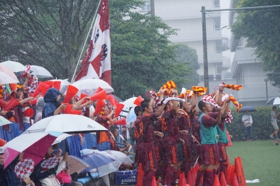 DSC09373.JPG