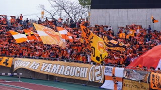 DSC06470 (2).JPG