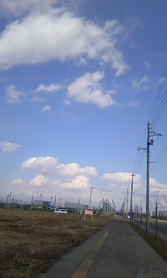 100411_1254~01.jpg