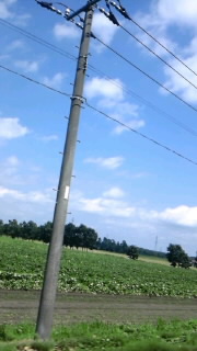 100813_1233~010001.jpg