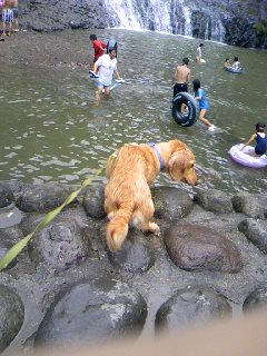 080815_1400~03.jpg