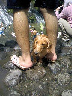 080815_1415~01.jpg