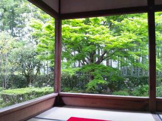 20120513_001747.jpg