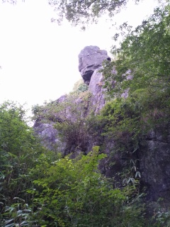 DSC_1081.JPG