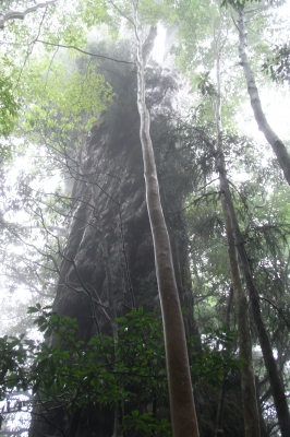 RIMG1078.JPG